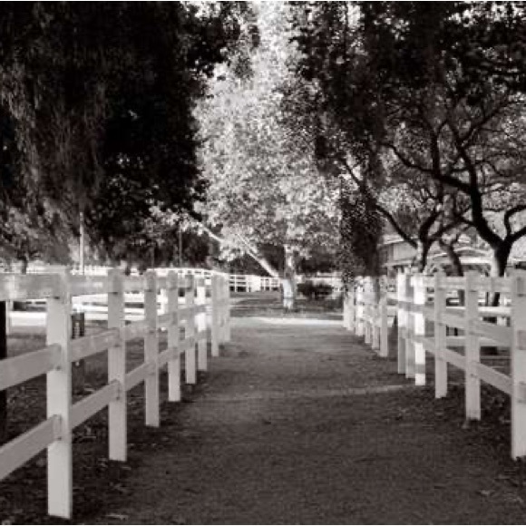 Great views - Picture 3 of 3